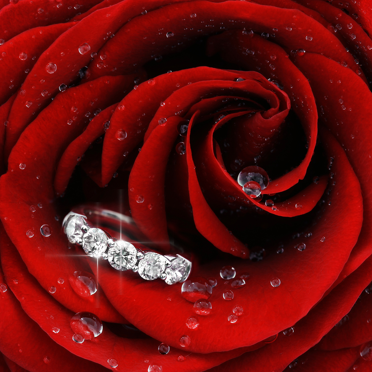 Красная роза с кольцом